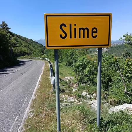 Emily Slime