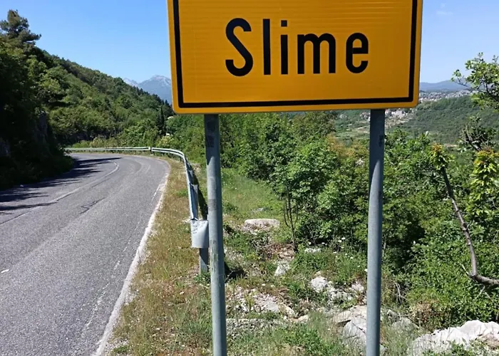 Emily Slime